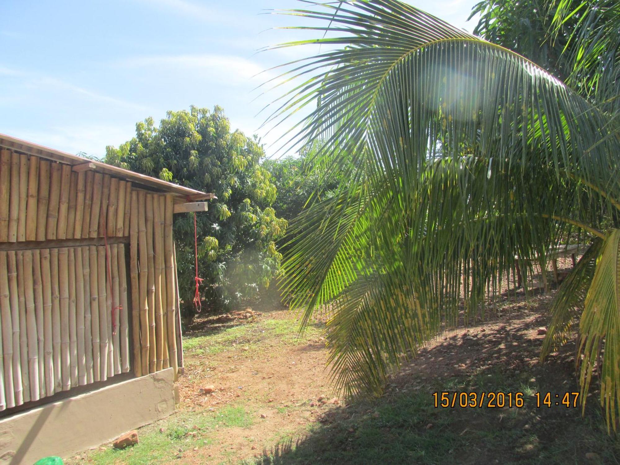 Jamaica Inn Guest House Botianaw Bagian luar foto